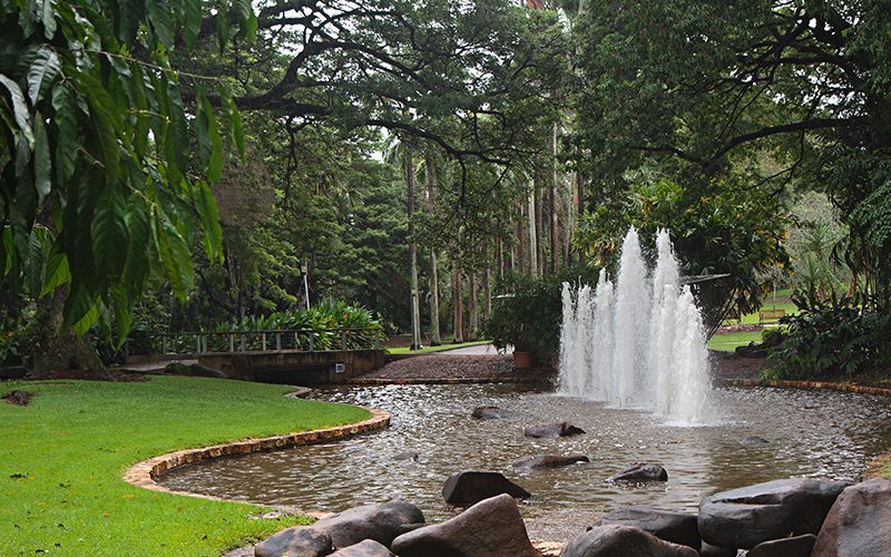 Darwin Botanical Gardens